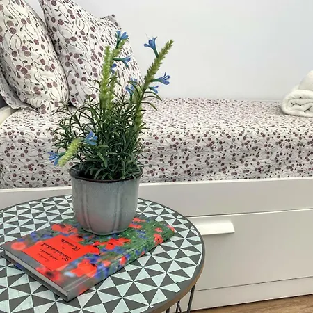 Apartment Homely Obispo Con Parking